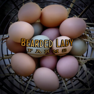 1 Dozen Non-Fertile Farm Fresh Duck Eggs