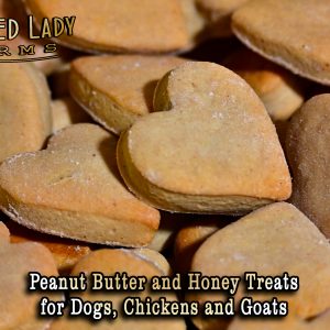 Peanut Butter Treats