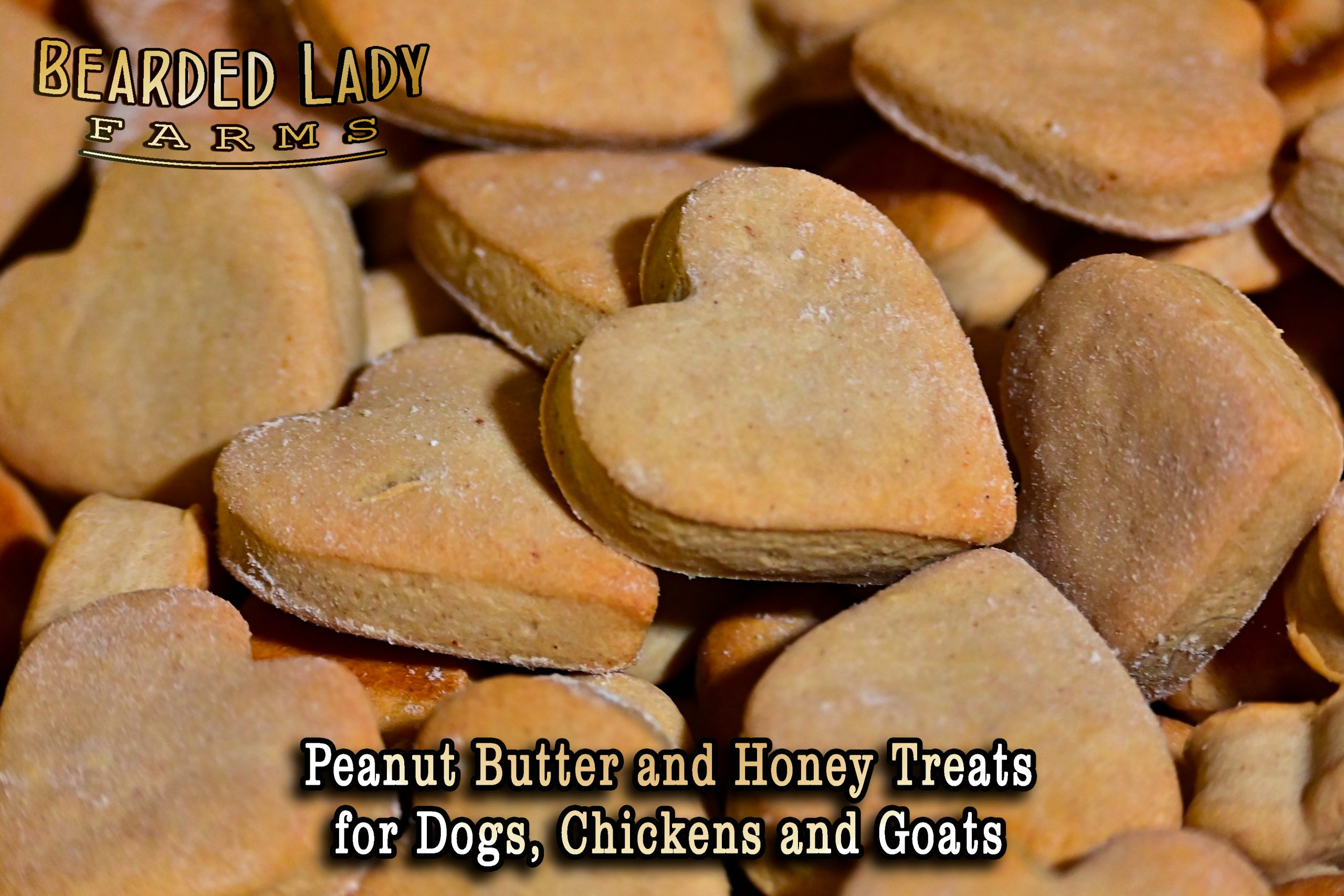 Peanut Butter Treats