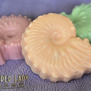 Set of 3 Sea Shell Soaps