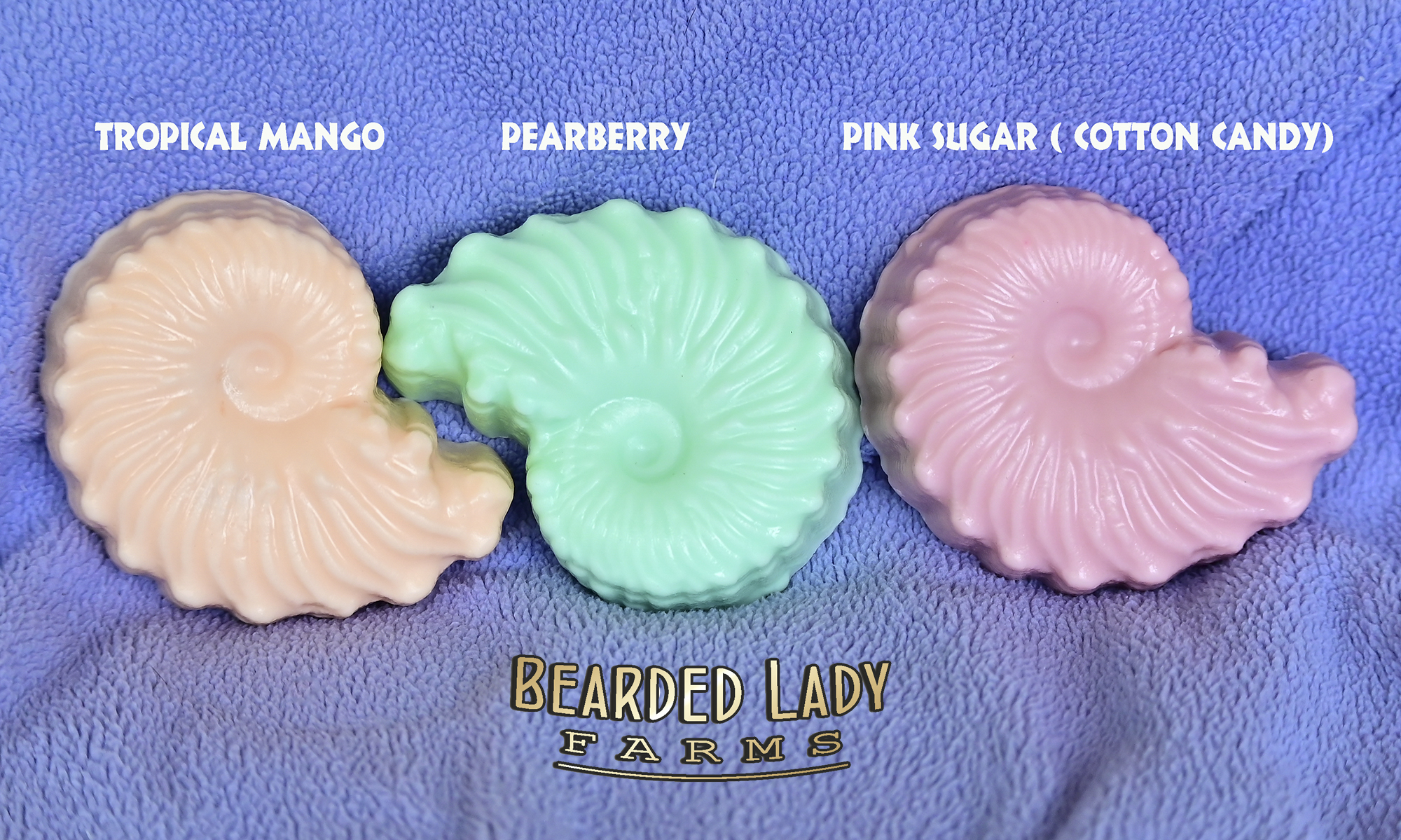 Set of 3 Sea Shell Soaps - Image 2