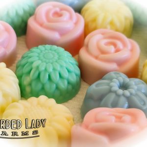 Guest - Travel Soap / Wedding Favors
