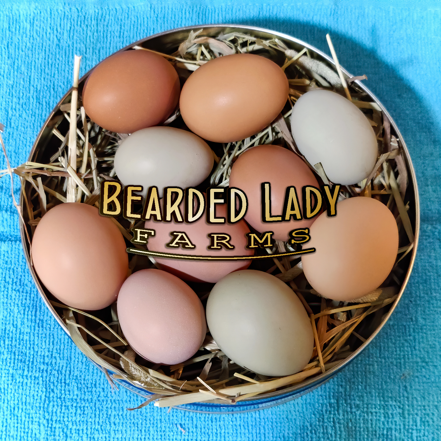 Fertile Hatching Eggs - Easter Eggers - Image 4