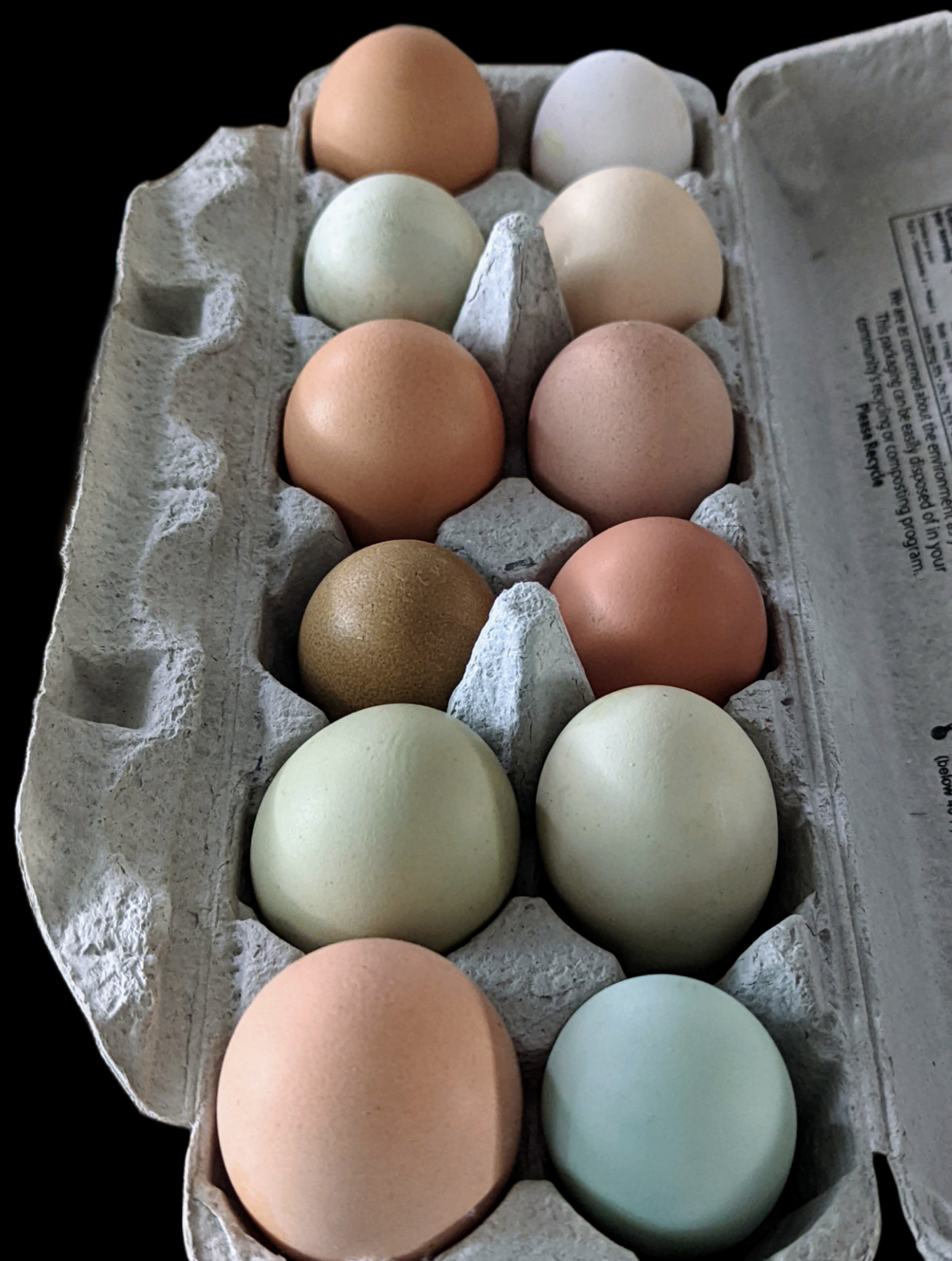 Fertile Hatching Eggs - Barnyard Mix - Image 3